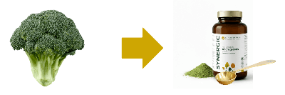 De la plante adulte à la poudre finale