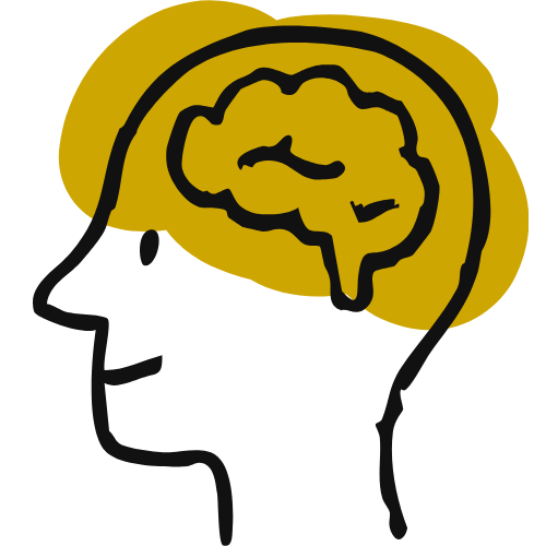 Cognitive function